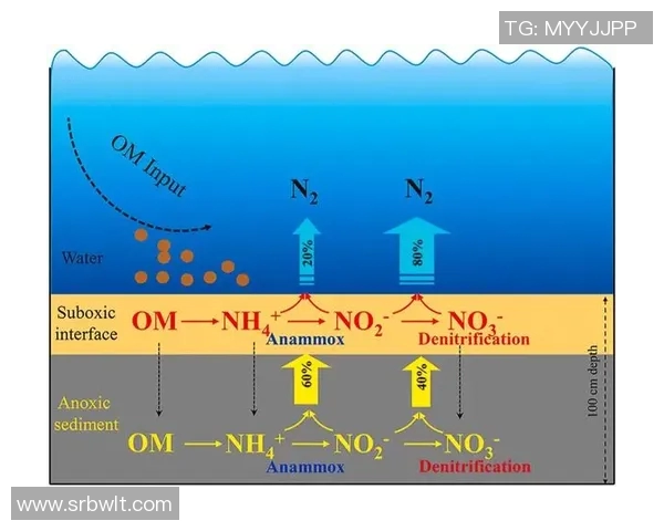 体育实时数据北京排球队整体表现分析:压制优势与失误影响的深度探讨