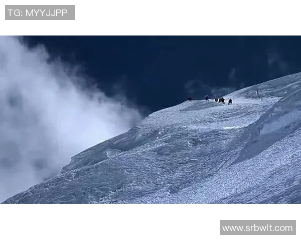 实时新闻攀登人生巅峰陈伟与深度对话中的攀岩哲学与人生启示